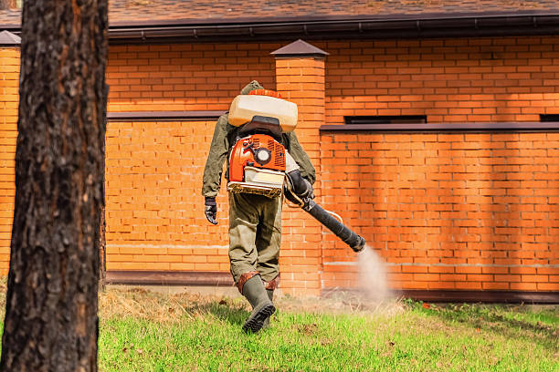Bed Bug Clearance Verification and Documentation in Jericho